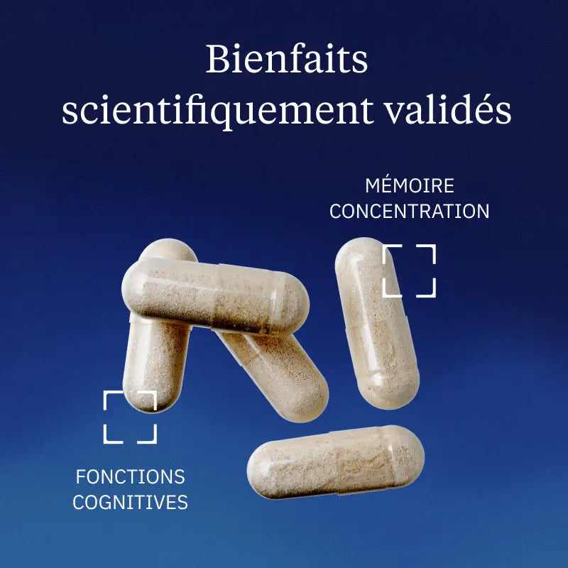 huperzia serrata bienfaits