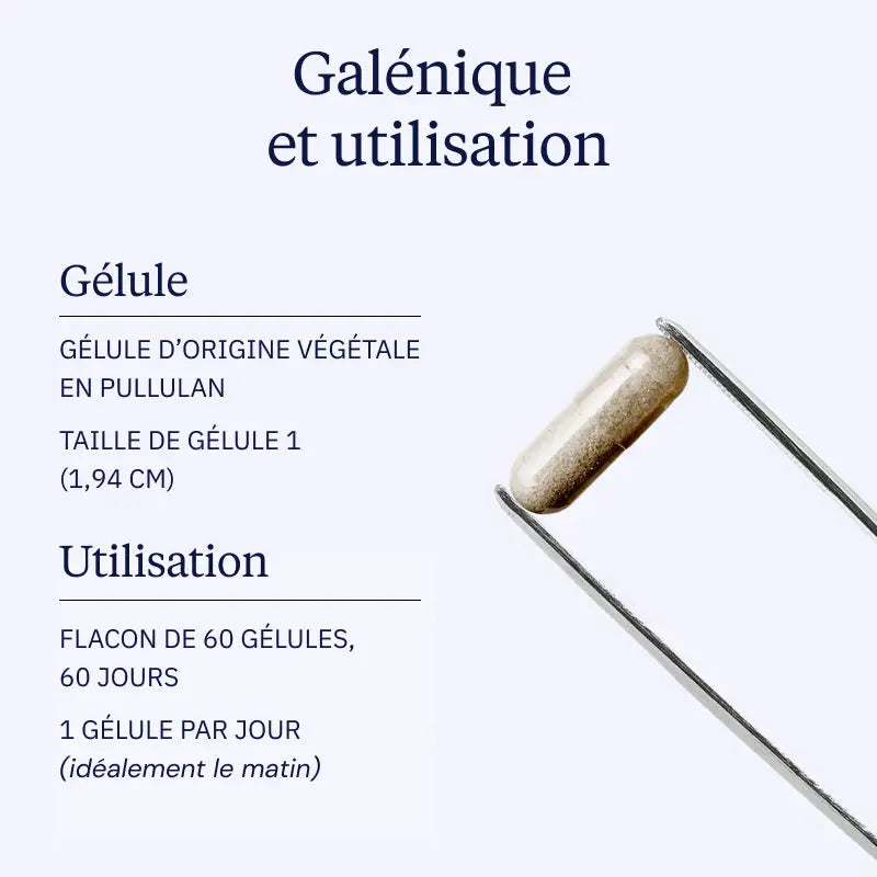 huperzia serrata galenique