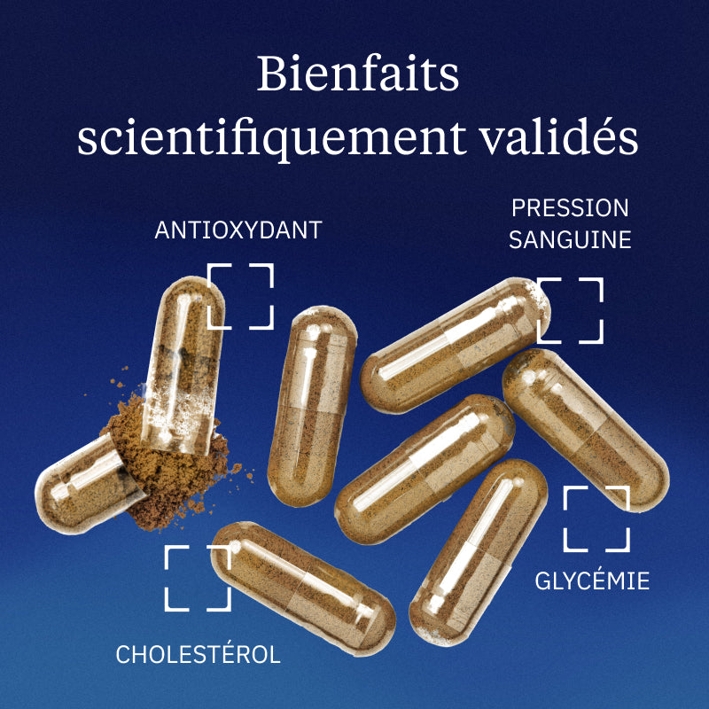 Hydroxytyrosol extrait d'olive BIO bienfaits