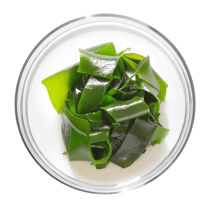 iode algue kelp image matiere