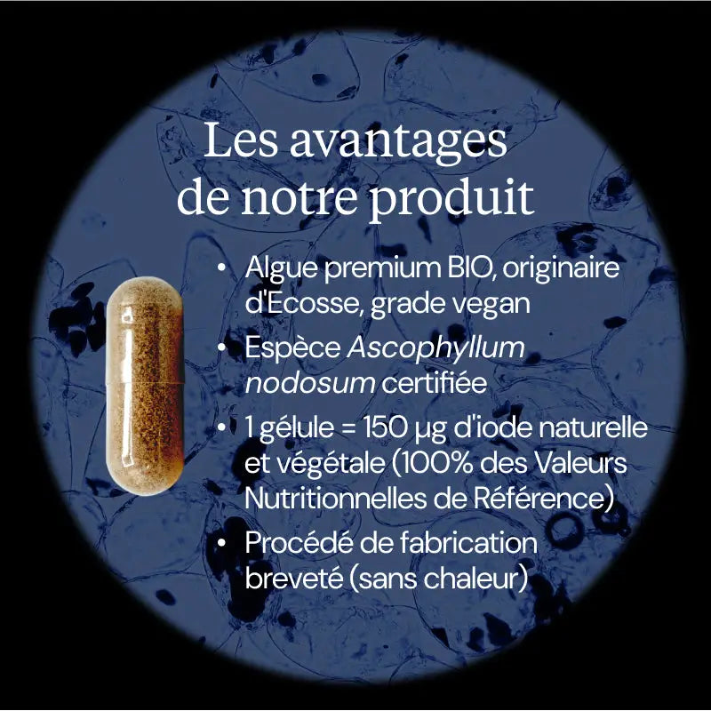 iode d algue kelp bio avantages