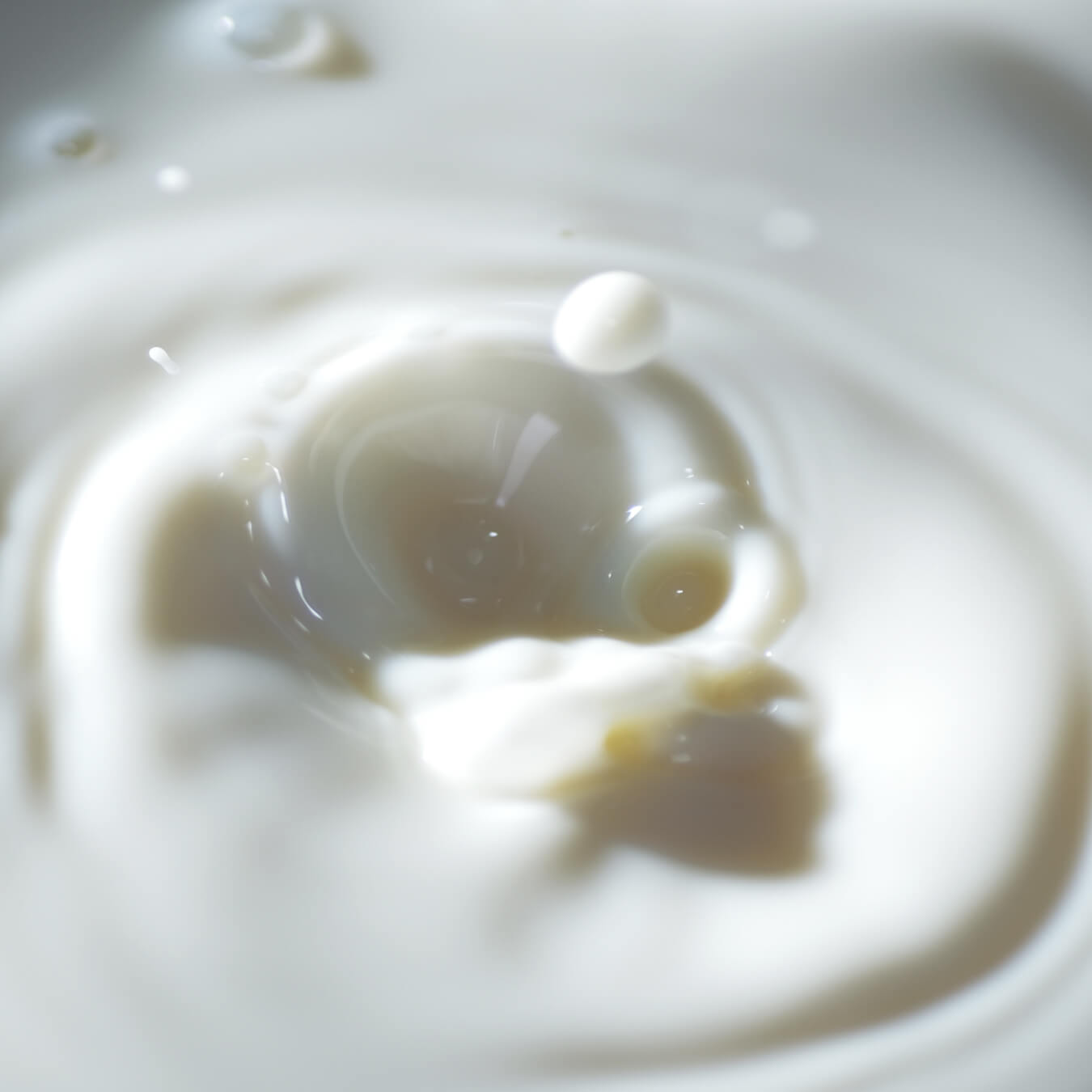 isolat whey image ingredient