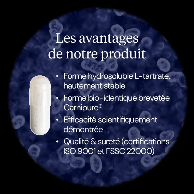 l carnitine avantages