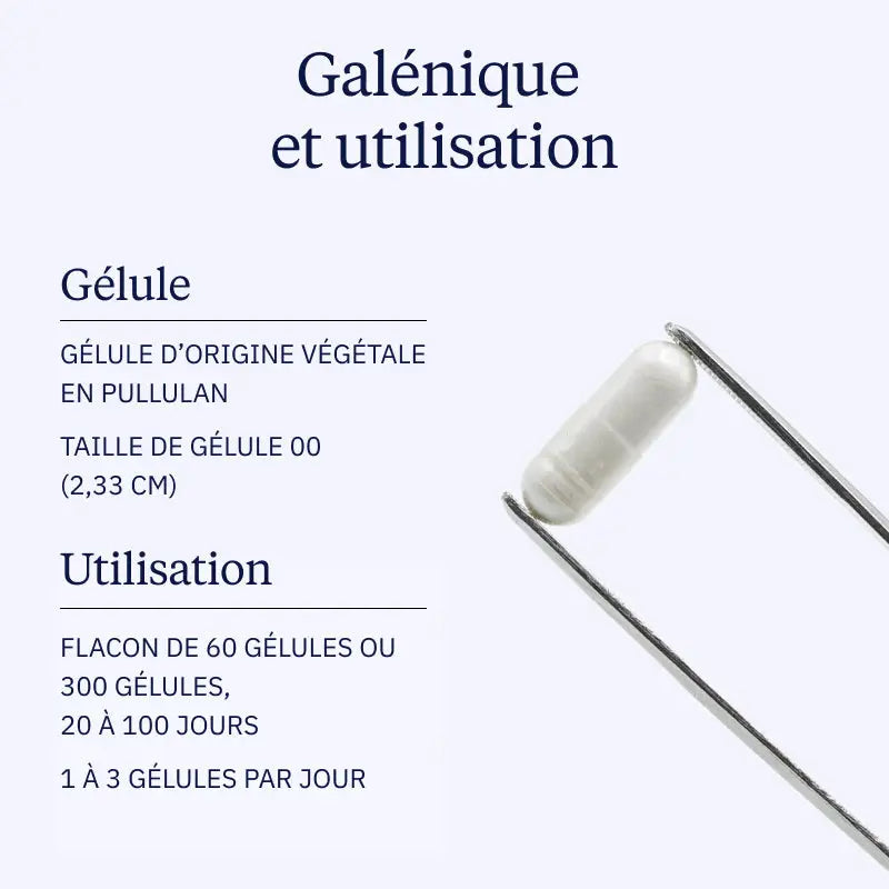 l carnitine galenique