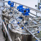 l glutamine fermentation