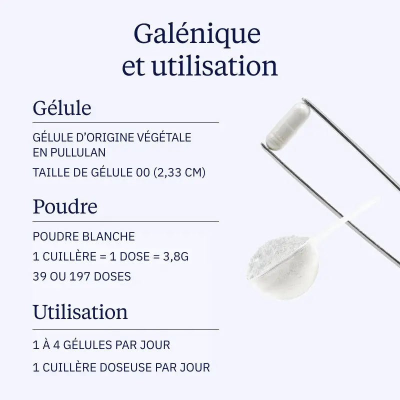 l glutamine galenique