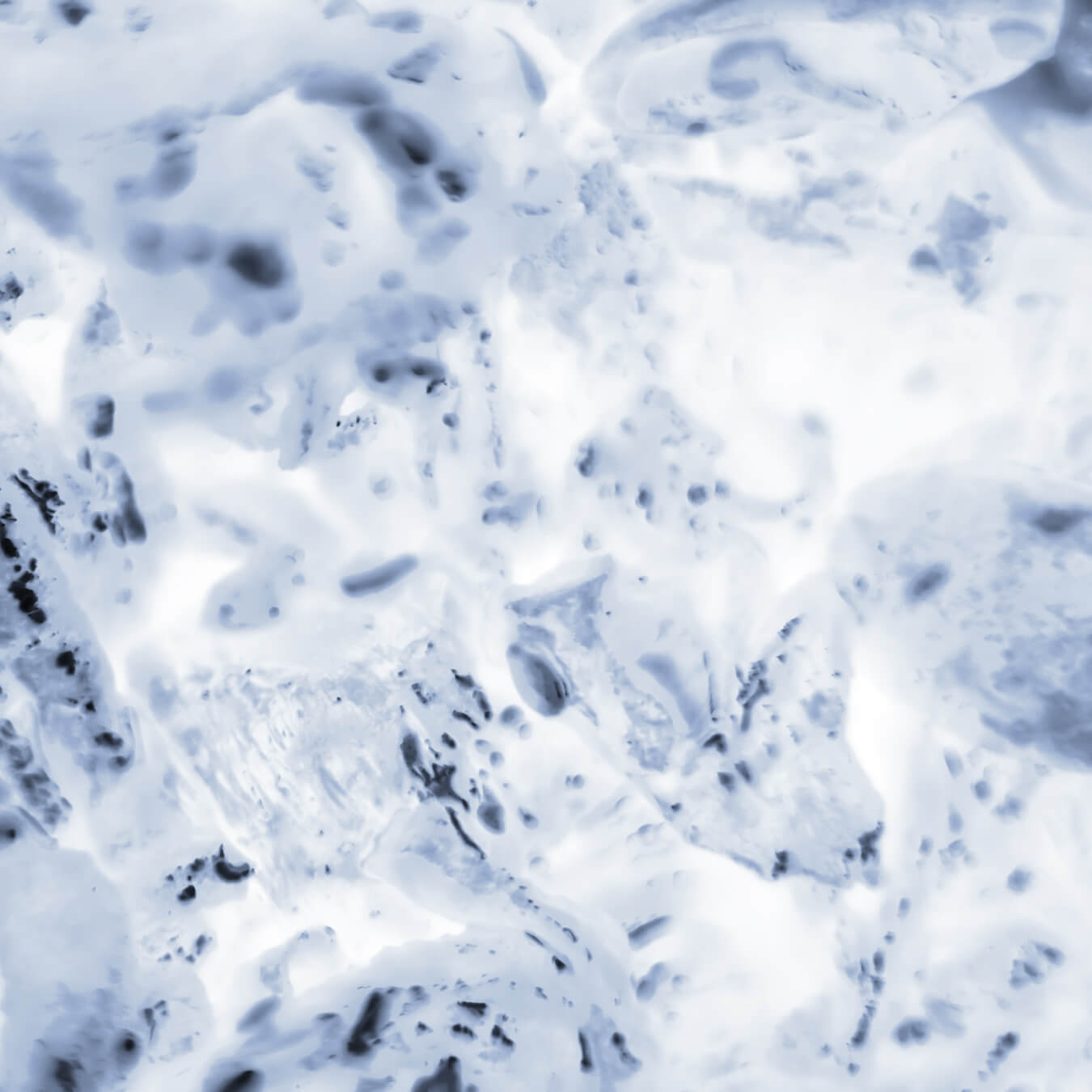 l lysine image ingredient