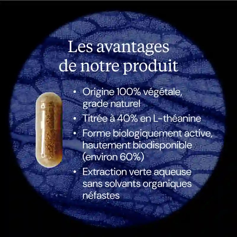 l theanine hero image avantages