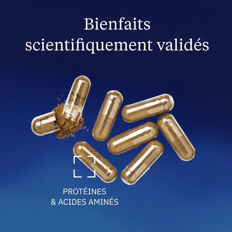 l theanine hero image bienfaits