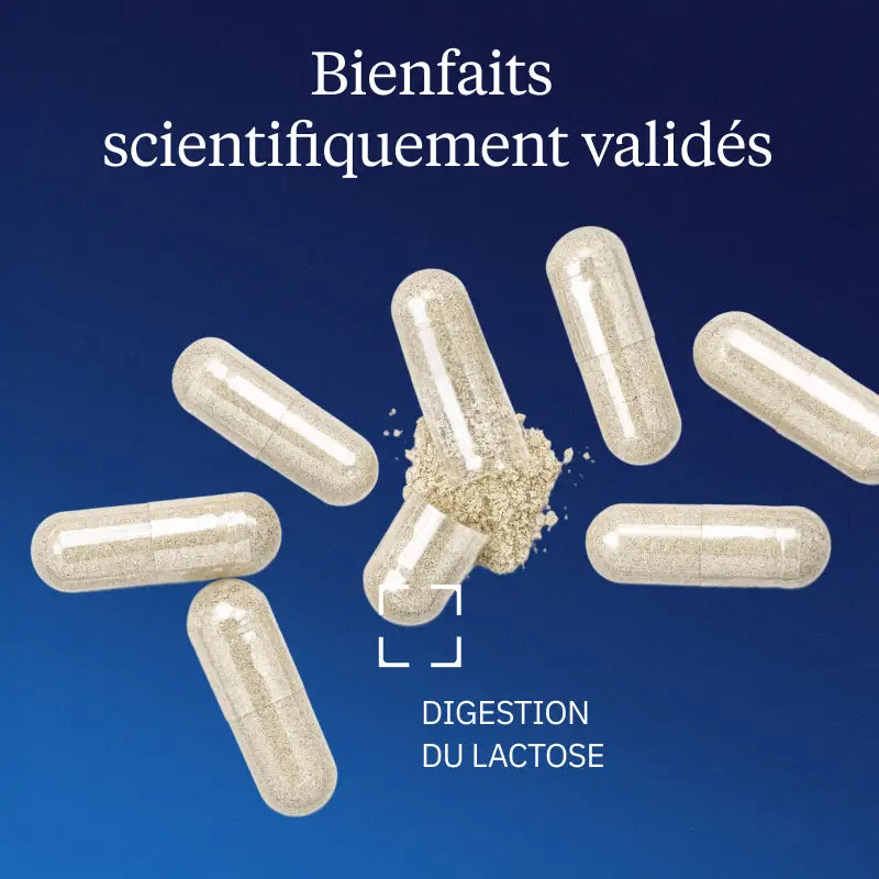 lactase bienfaits