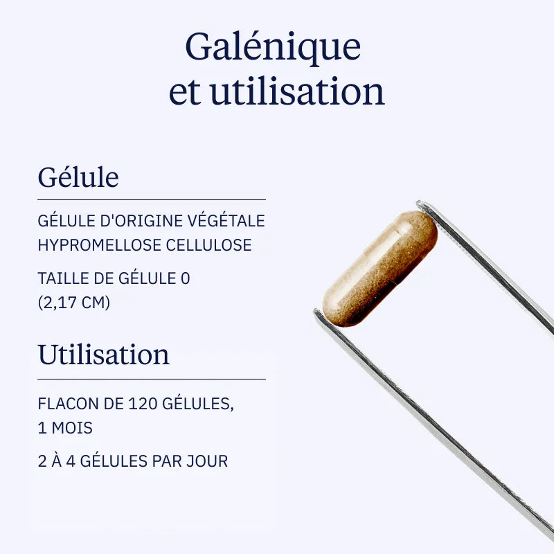 levure de biere galenique