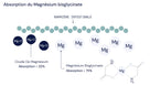 magnesium bisglycinate chelate absorption
