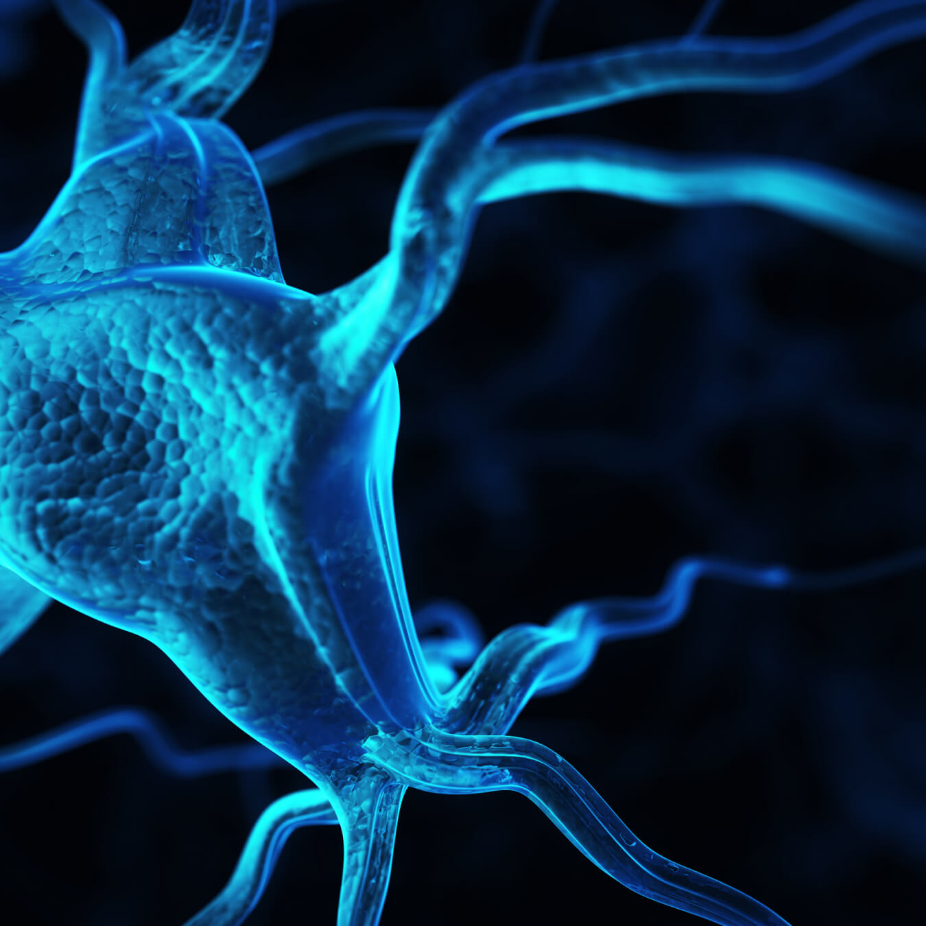 magnesium l threonate image ingredient