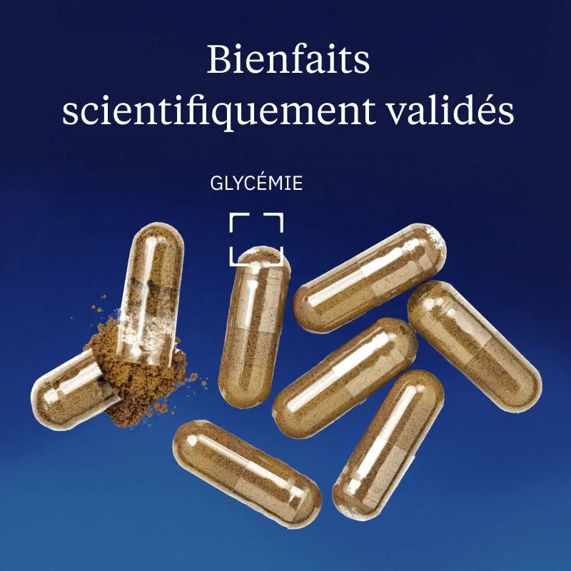 murier blanc bienfaits