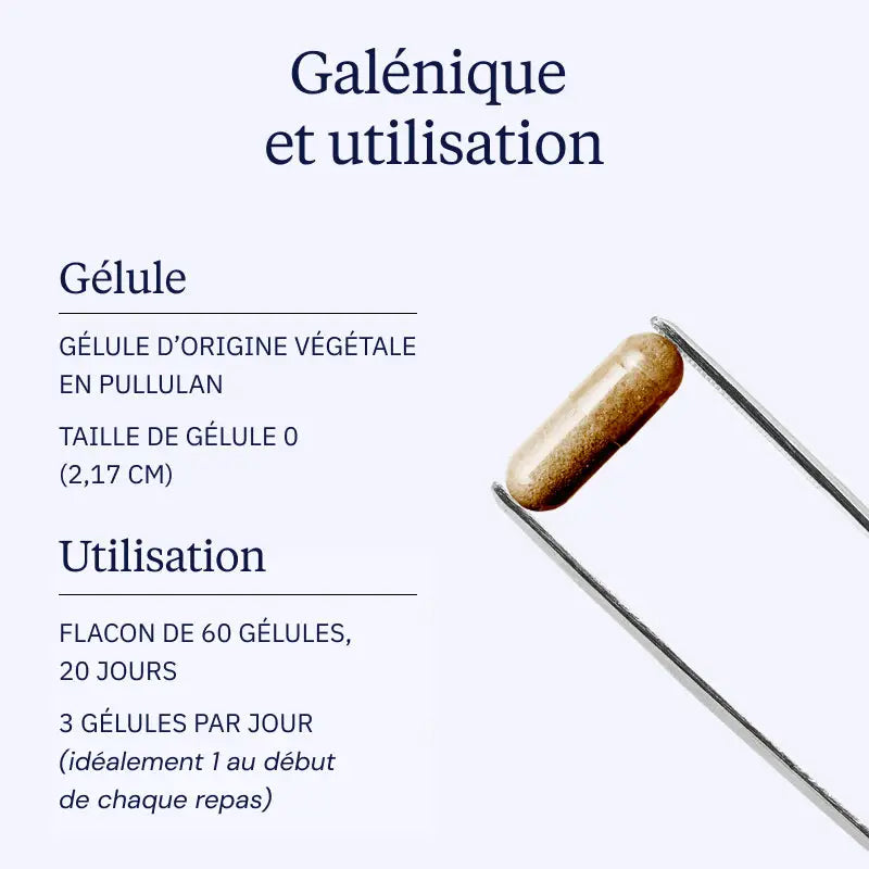 murier blanc galenique