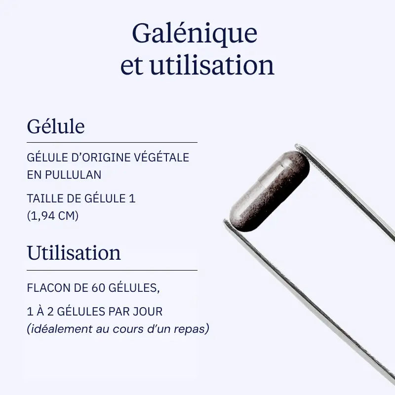 Extrait de myrtille sauvage galénique