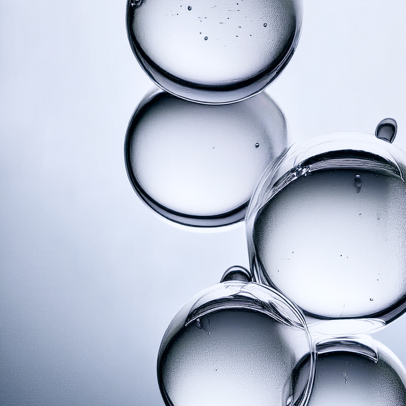 nac image ingredient