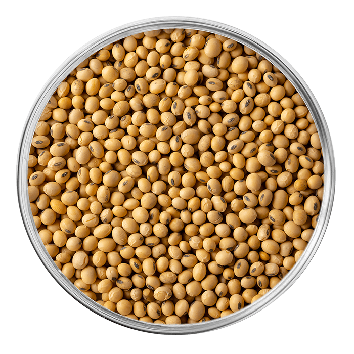 nattokinase image matiere