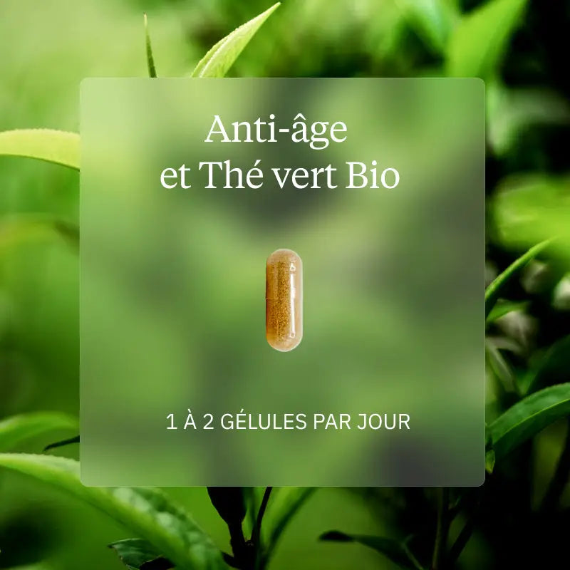 pack anti age the vert