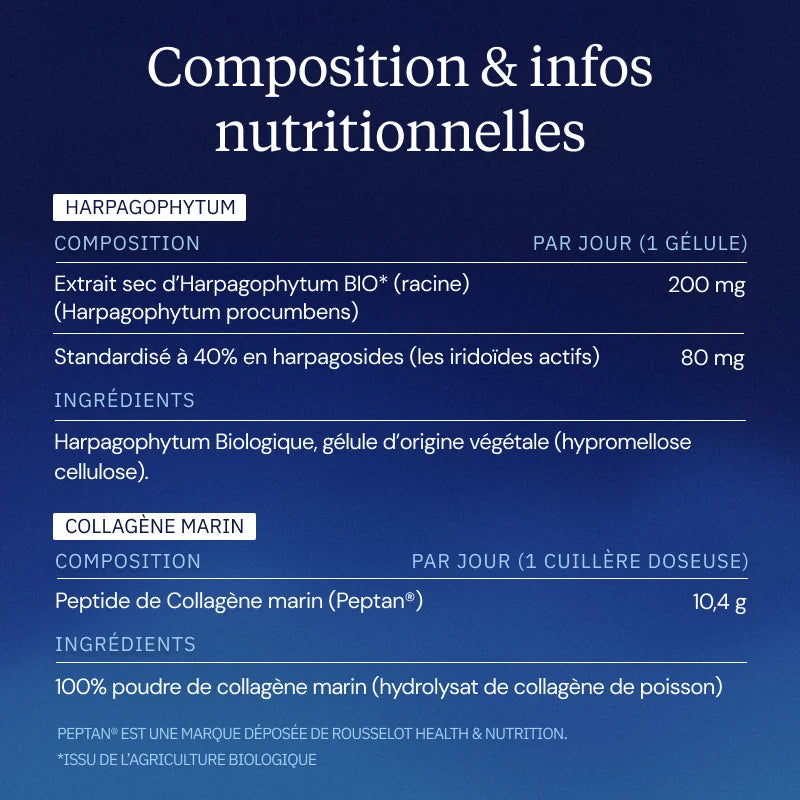 programme articulations composition