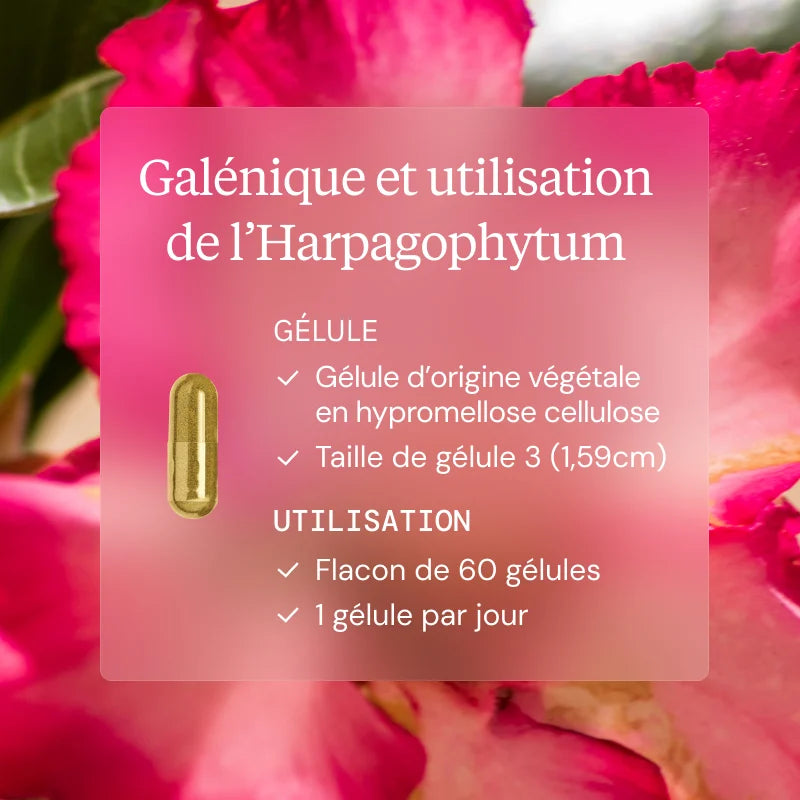 programme articulations harpagophytum
