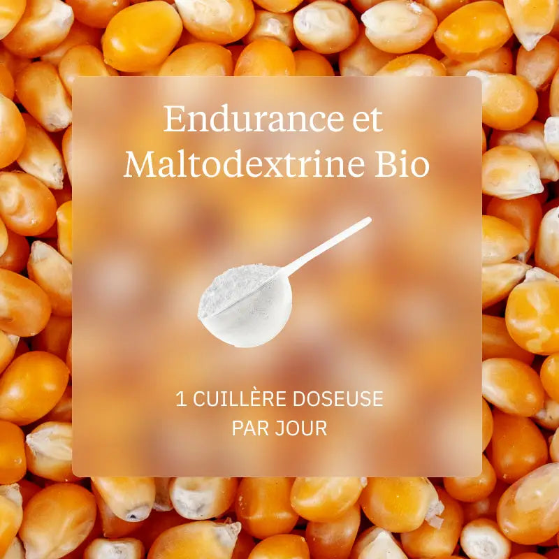 pack endurance maltodextrine