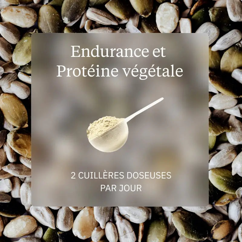 pack endurance proteine vegetale