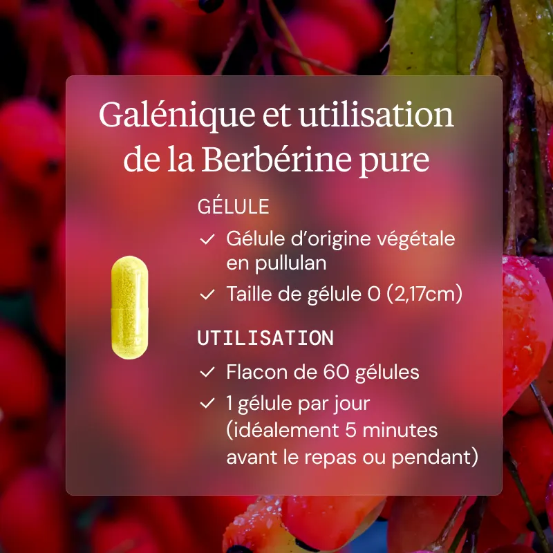 Programme Glycémie berberine