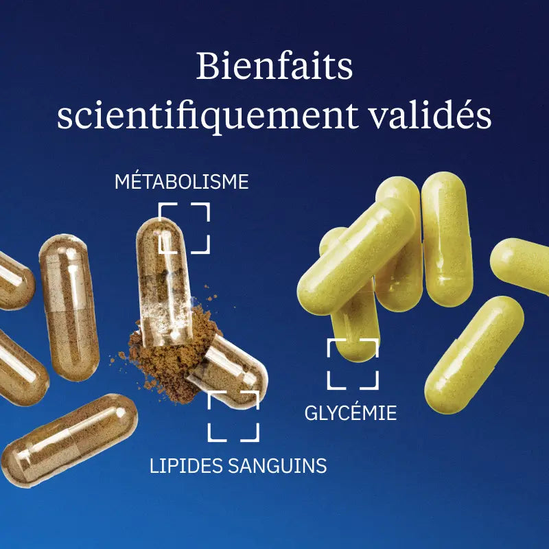 Programme Glycémie bienfaits