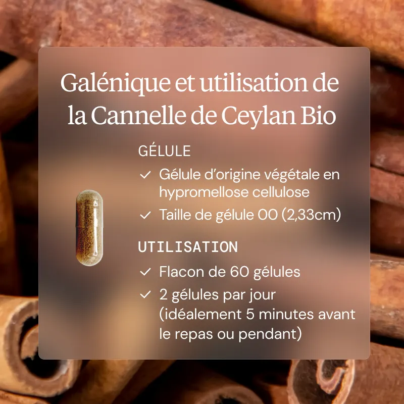 Programme Glycémie cannelle