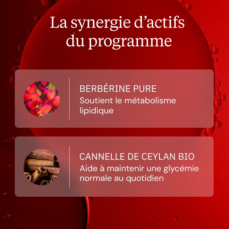 Programme Glycémie synergie