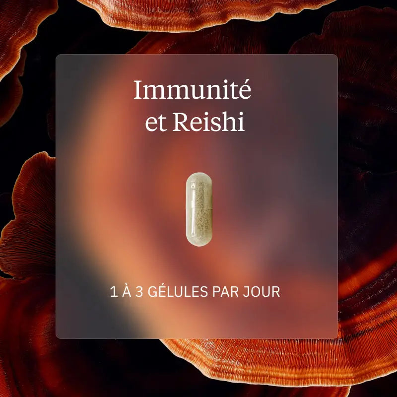 pack immunite reishi