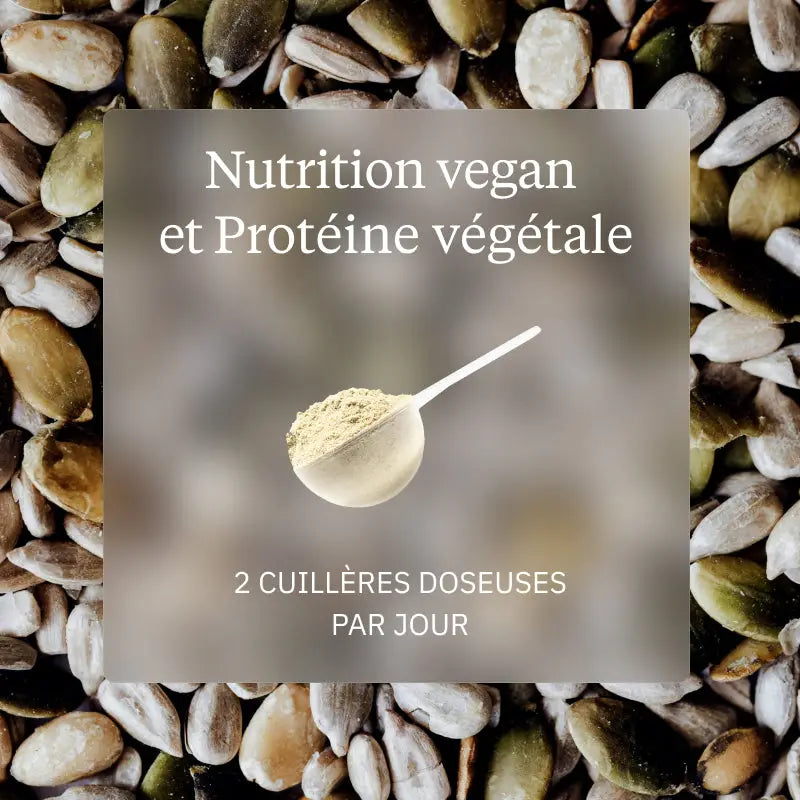 pack nutrition vegan proteine vegetale