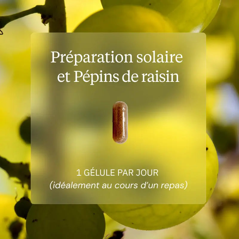 pack preparateur solaire pepins raisin