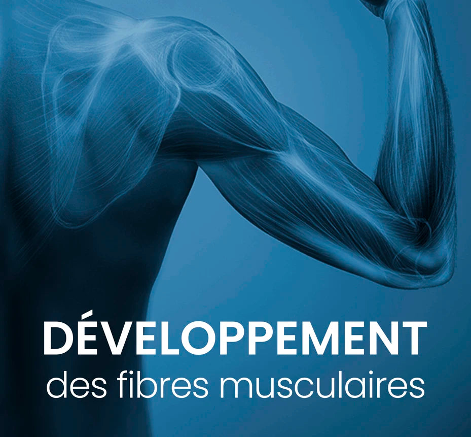 synergie des actifs prise de masse