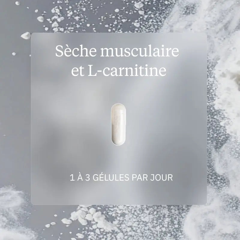 pack seche musculaire carnitine