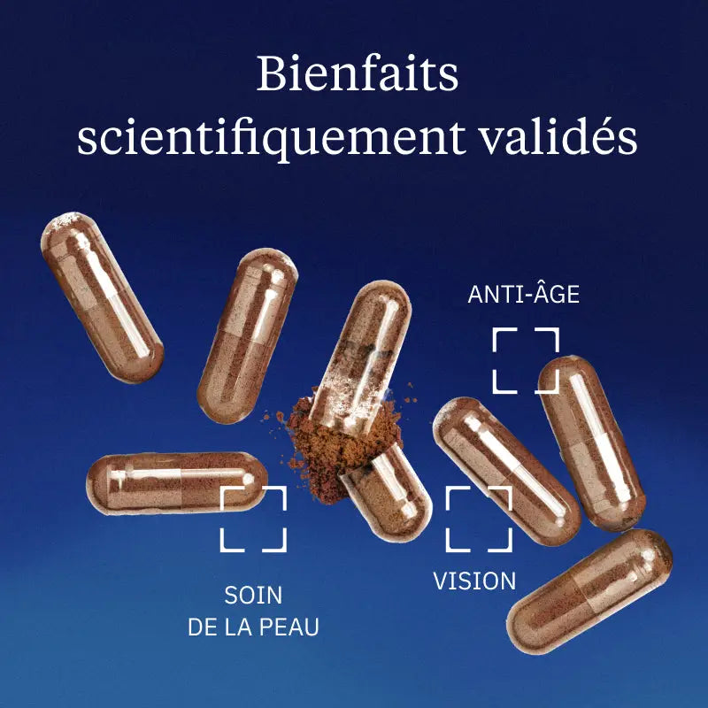 pepins raisin bienfaits