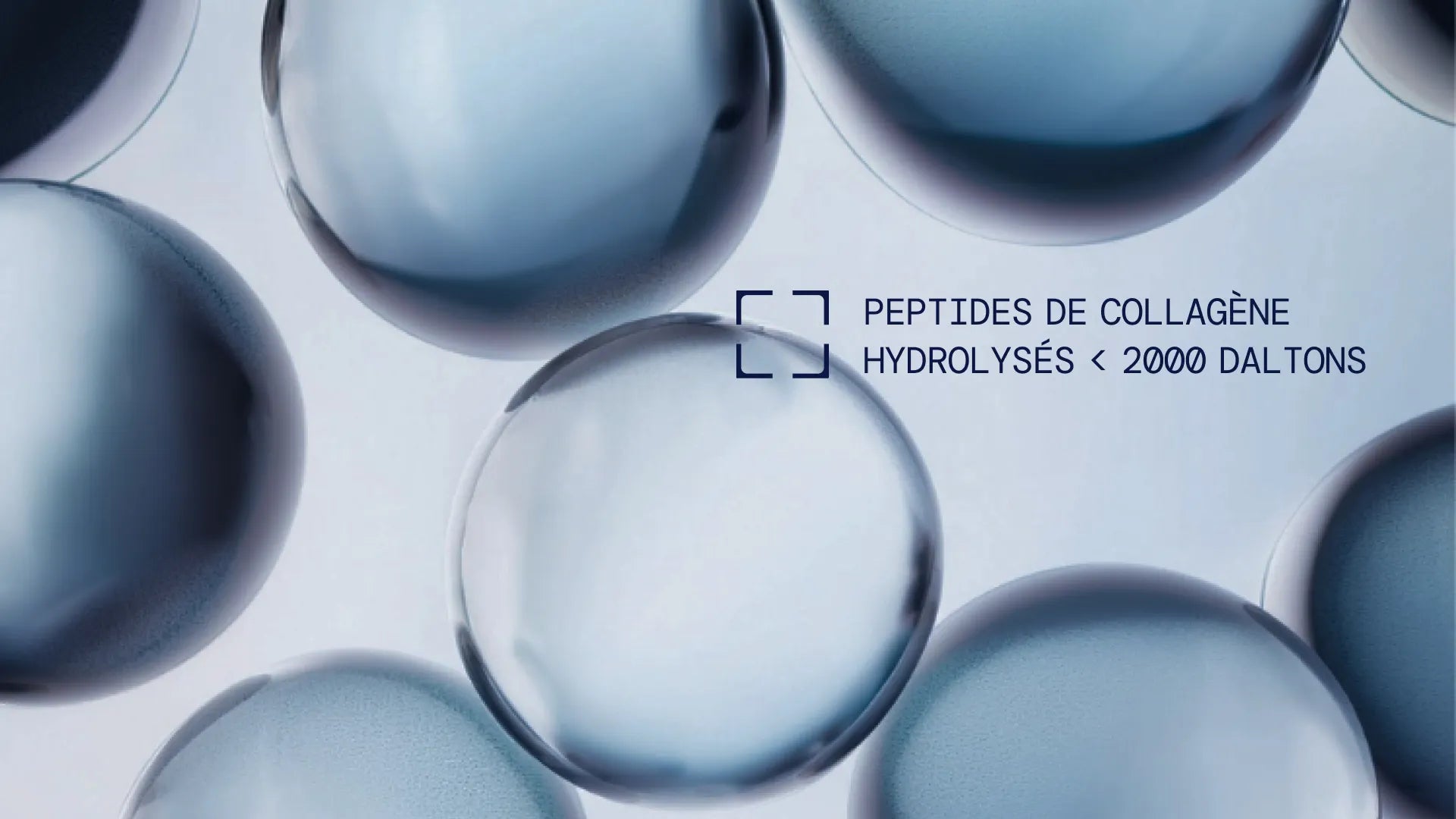 peptides de collagène hydrolyses