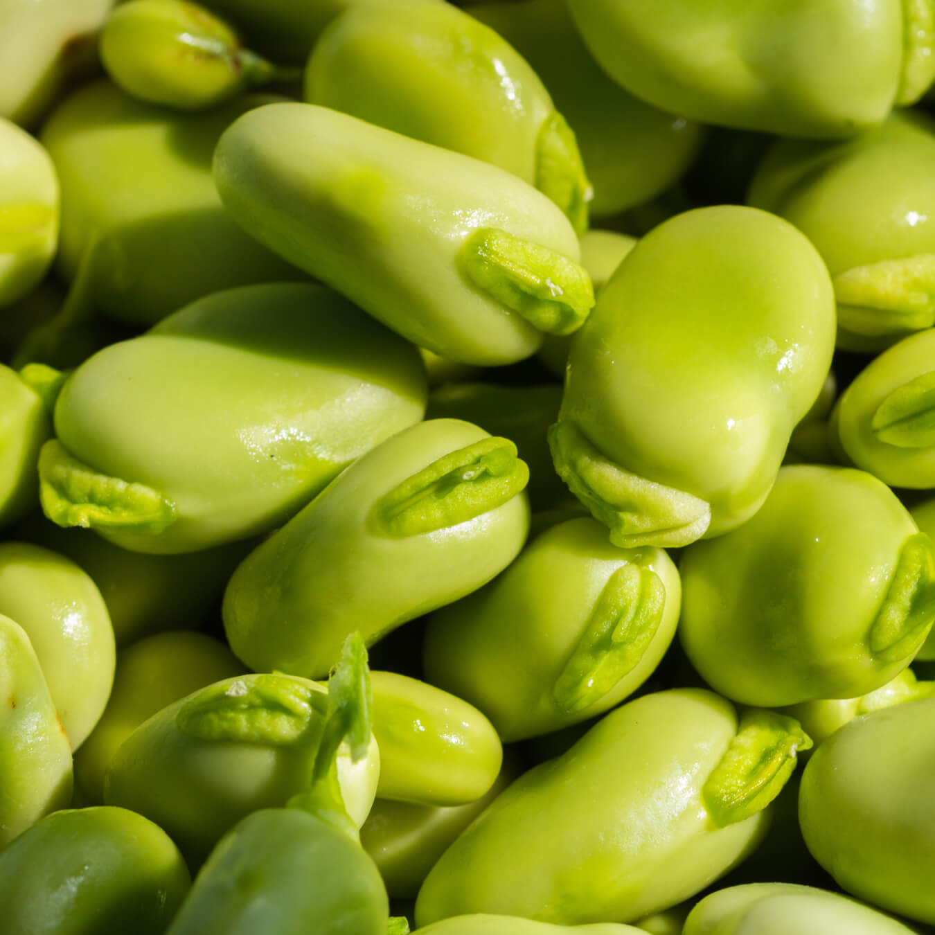 peptistrong image ingredient