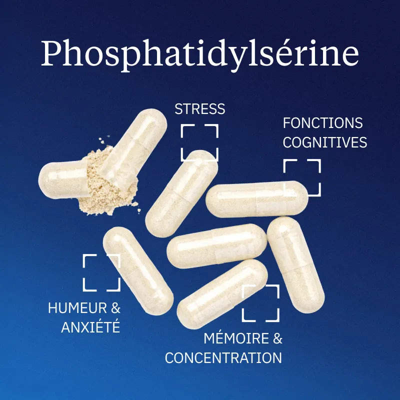 Phosphatidylsérine  bienfaits