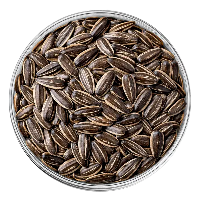 extrait de graine de tournesols