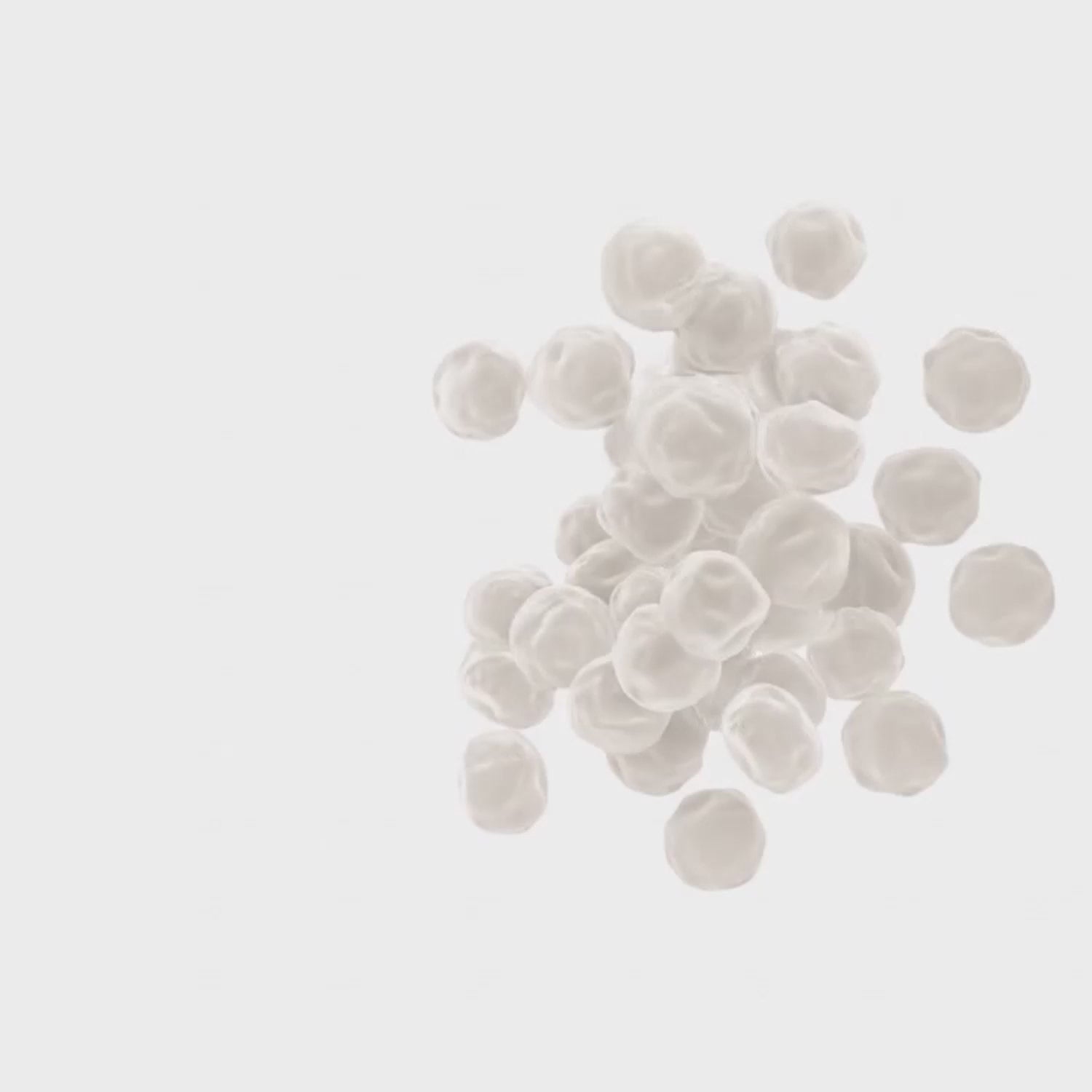 Animation champignons