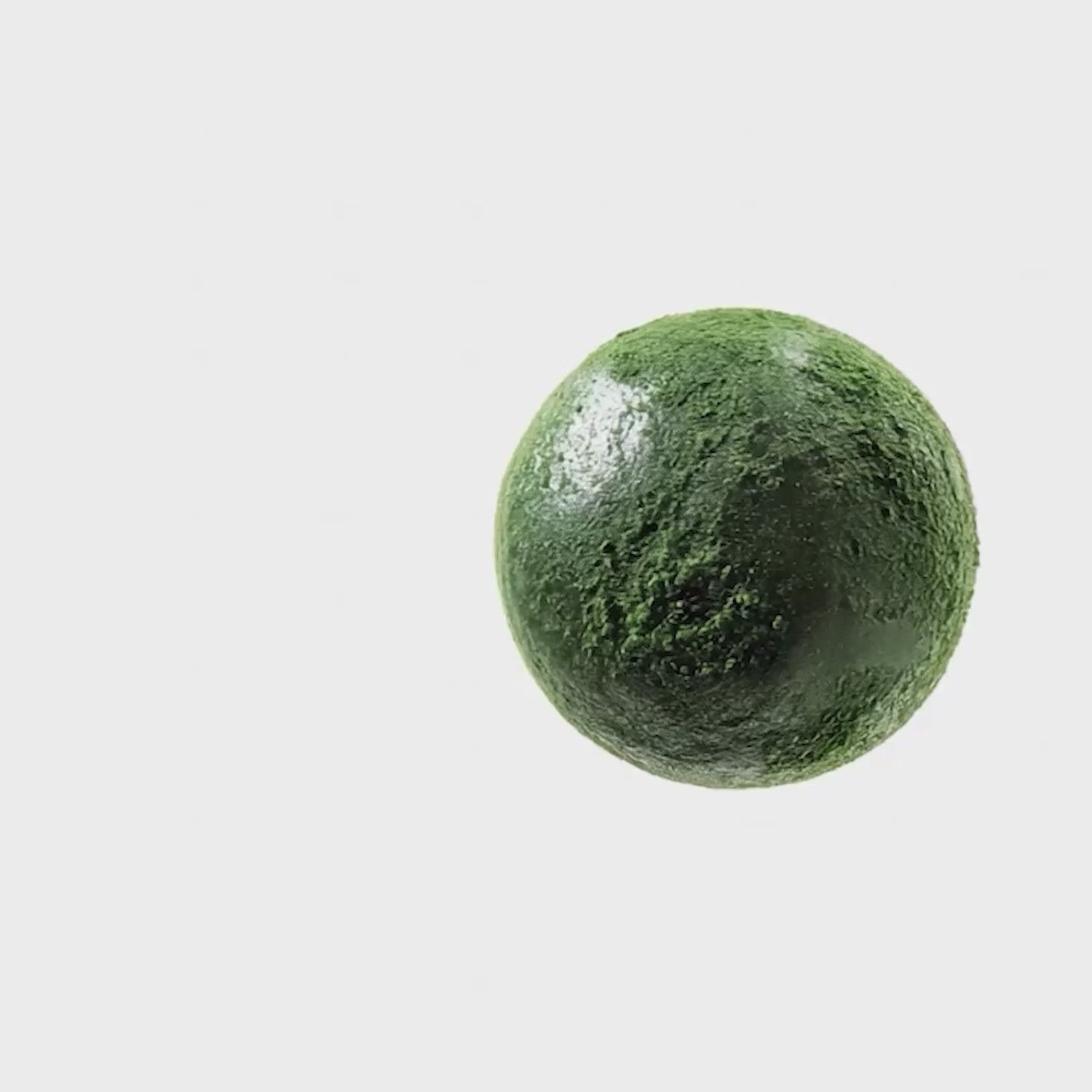Animation spiruline