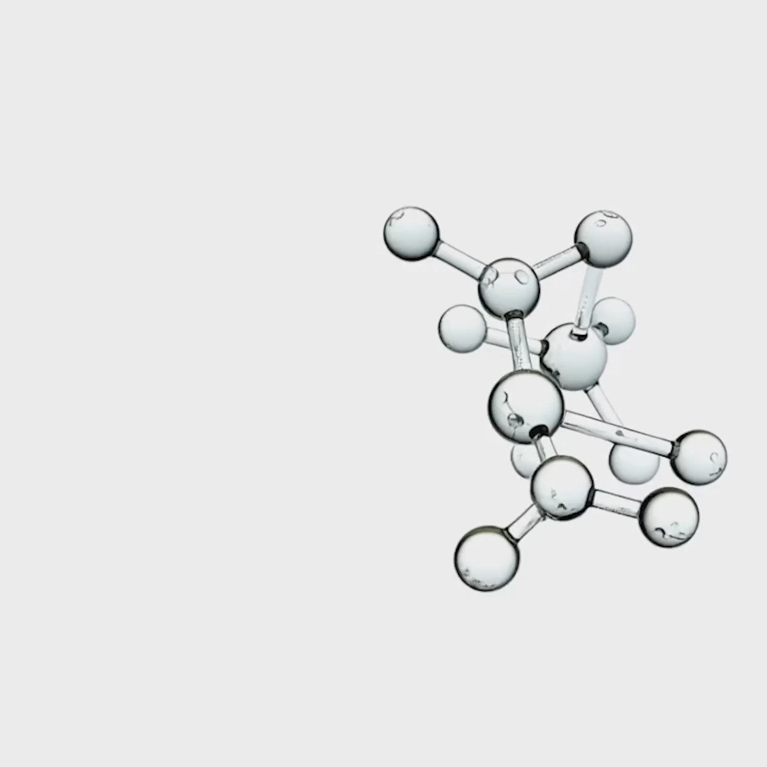 Animation vitamine