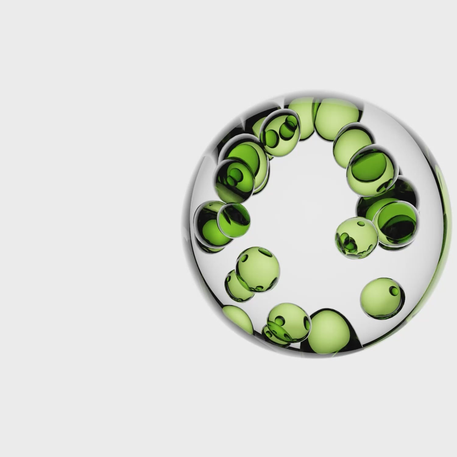 Animation extrait de plante