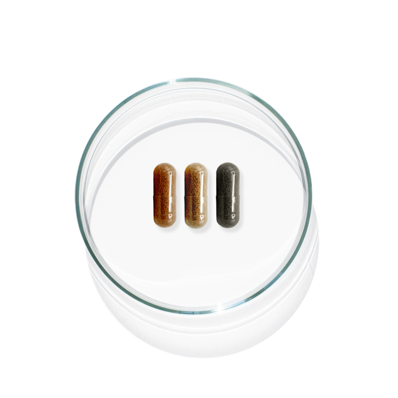 Posologie pack préparateur solaire