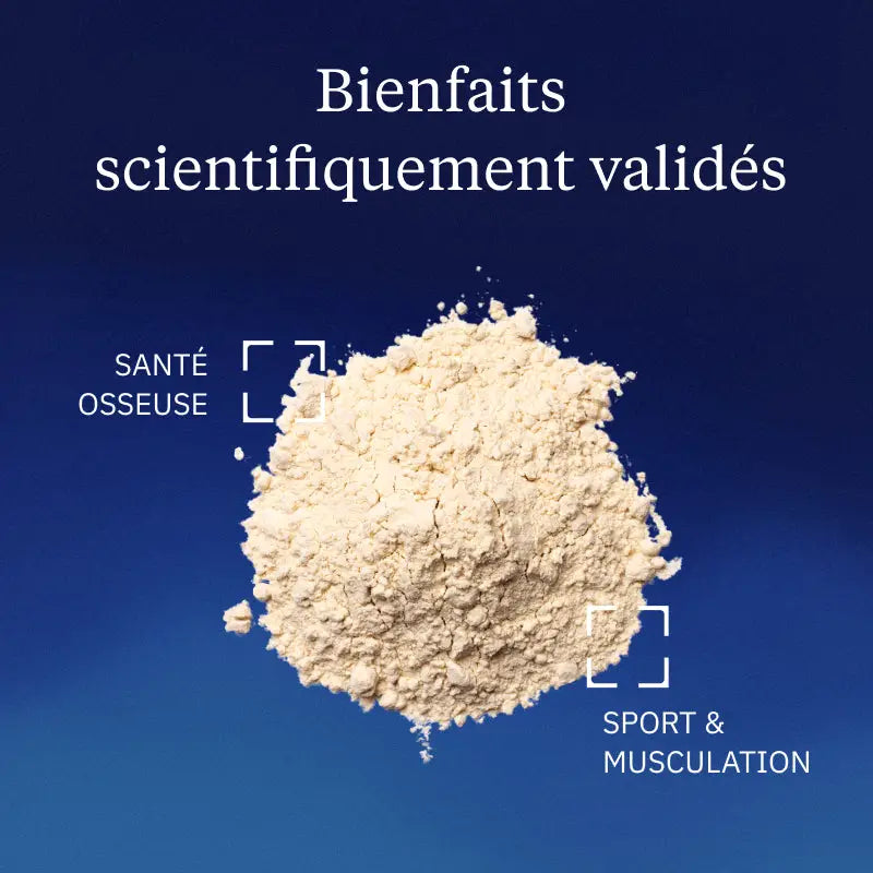 proteine vegetale hero image bienfaits