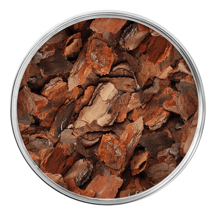 pycnogenol image matiere