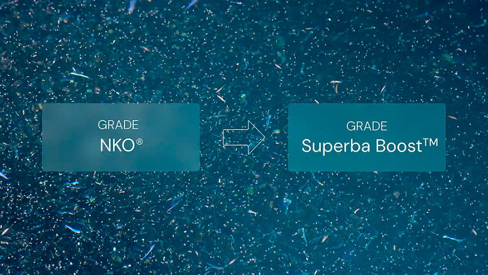 quelle est la meilleure huile de krill