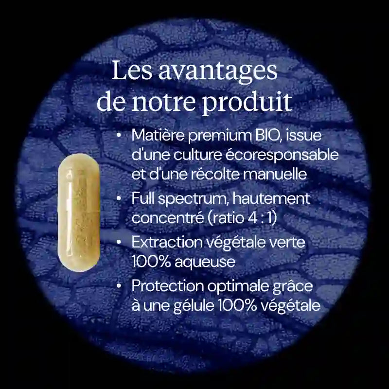 racine d ortie avantages